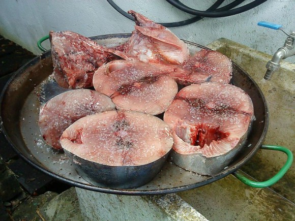 La carne de atunes y lenguados es de diferente color